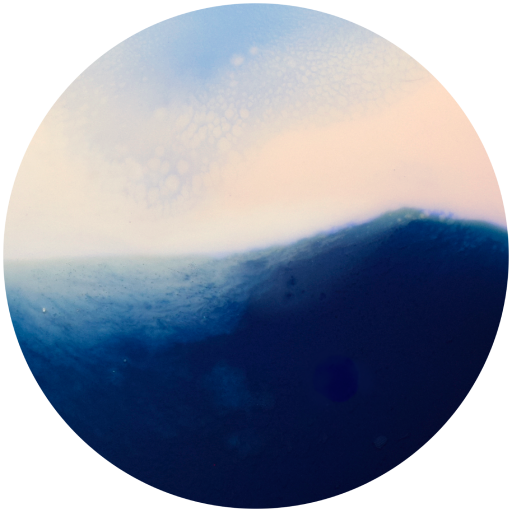FGI-Logo_blank_small.png